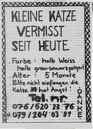 plakat katze vermisst